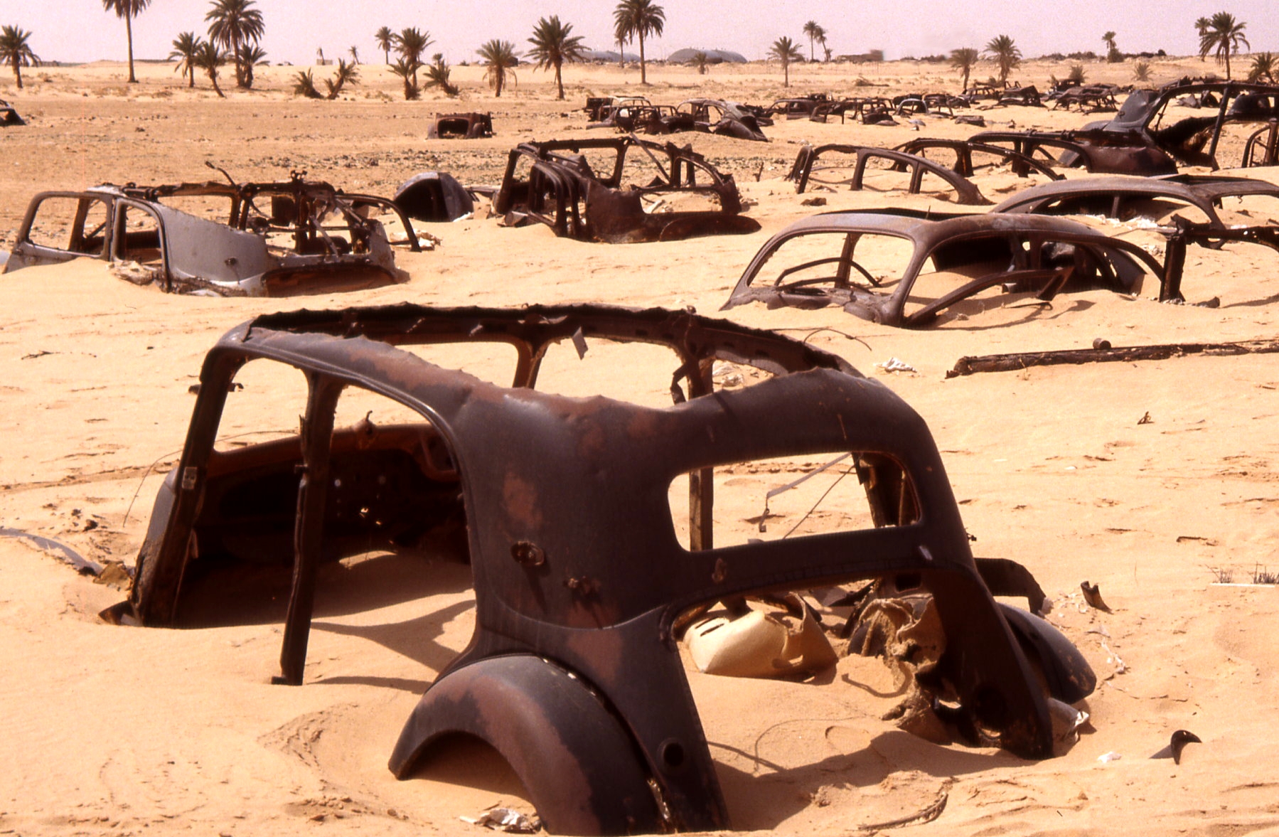 AlgeriaSahara-CarWrecks-CarCemetery1--a38l.jpg