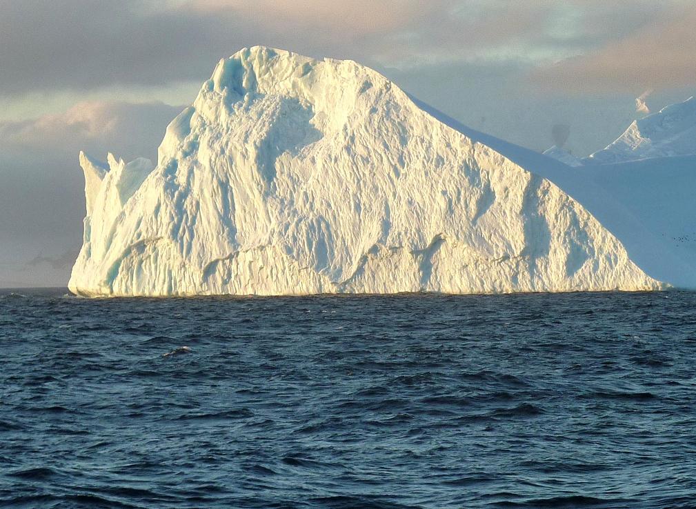 rohrmann-AA--Antarctica-IcebergInEveninglight