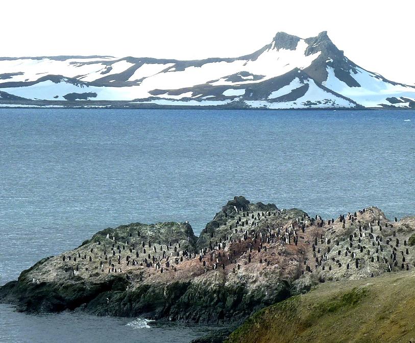 rohrmann-AA--rohrmann-Antarctica-PeninsulaWithThousandPenguins