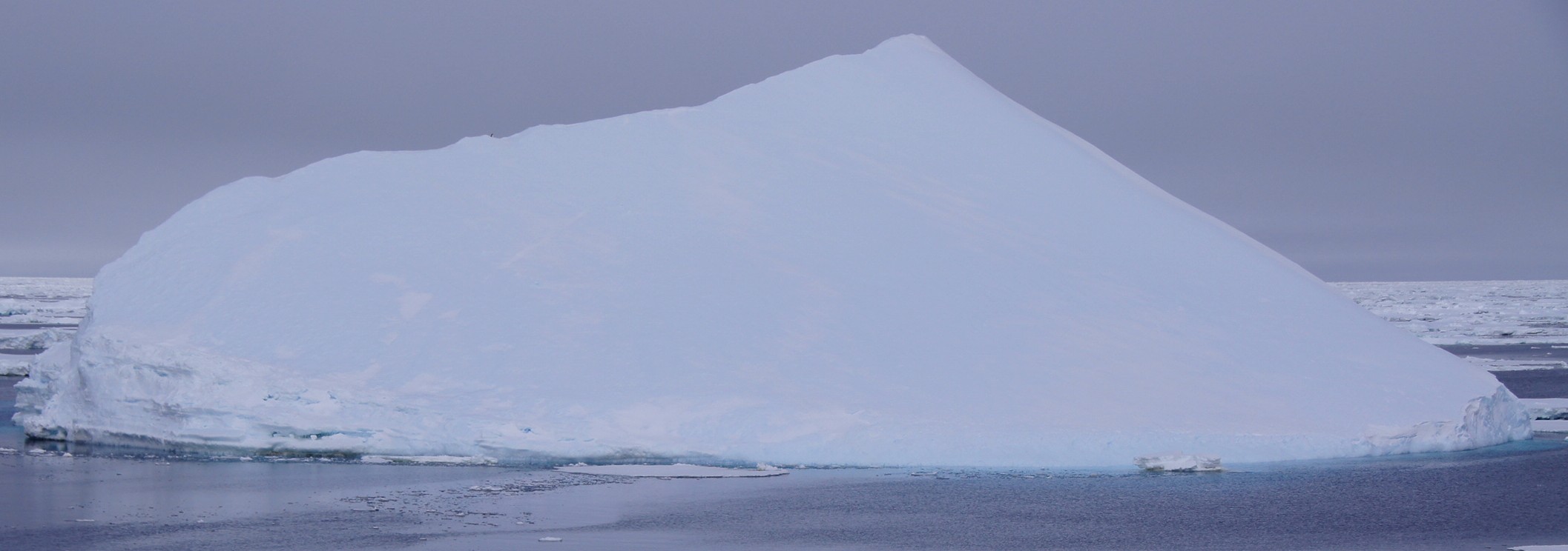 rohrmann-AAA-Iceberg-07-OnePenguinOnTop--1684!