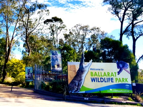 Ballarat zoo