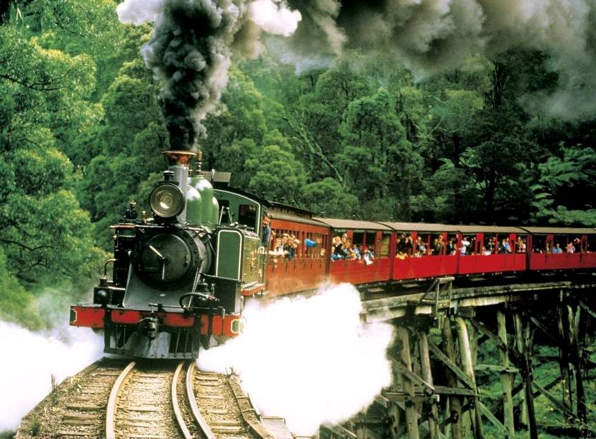 Puffing Billy train