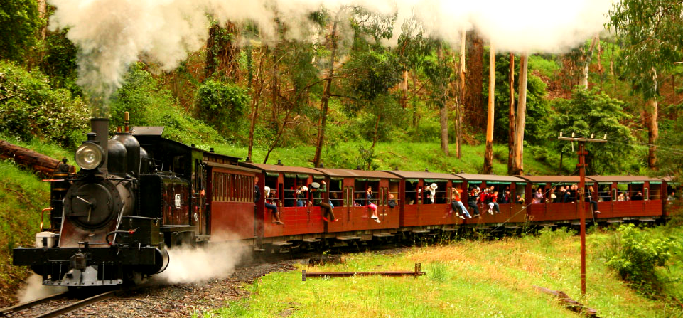 Puffing Billy train