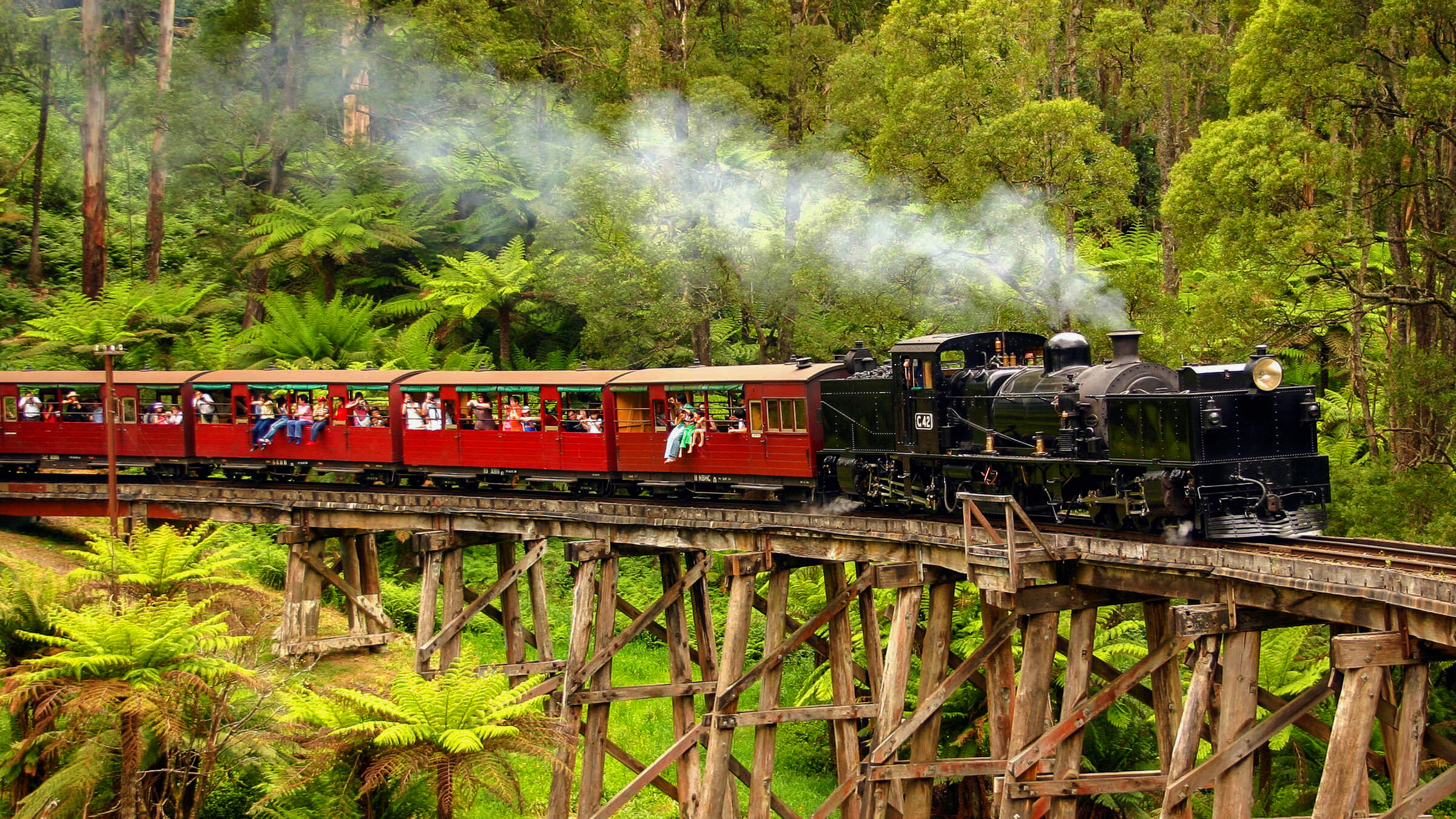 Puffing Billy train