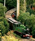 Puffing Billy train