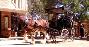 Horse waggon tour