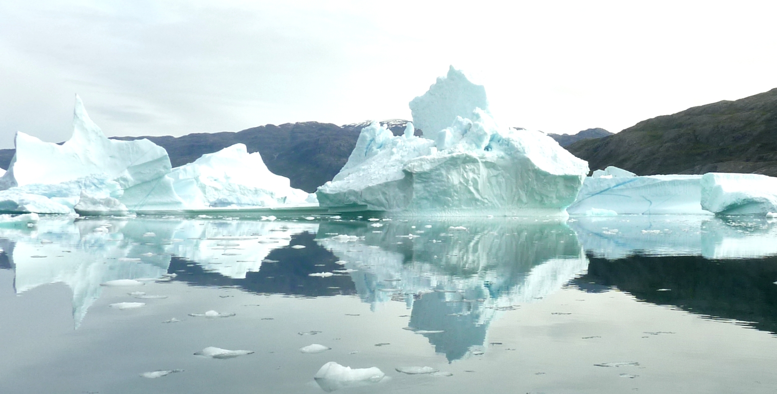 Greenland-IcebergPic23-WithBirds=30885%5E