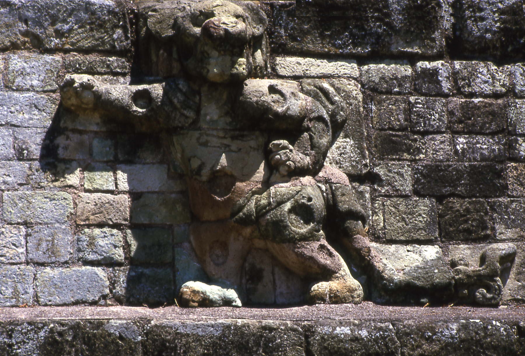 Wall with lion