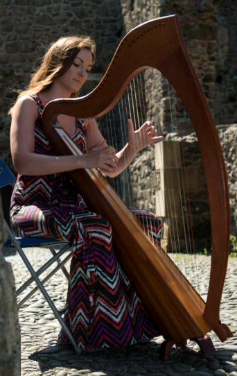 Ireland modern harp