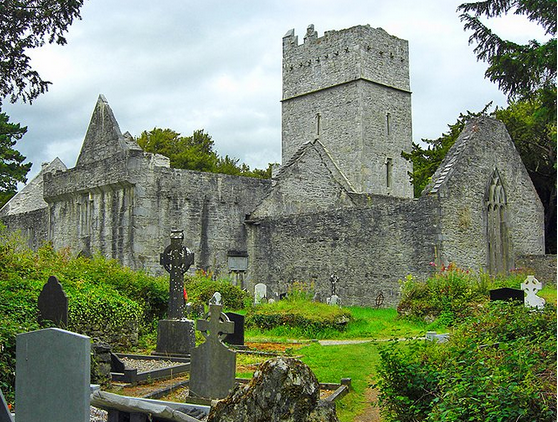 Abbey Muckross