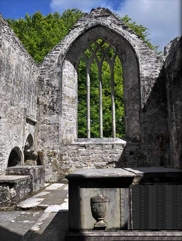 Abbey Muckross window