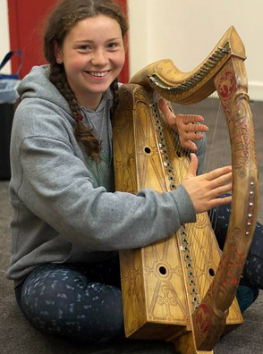 Ireland trad harp