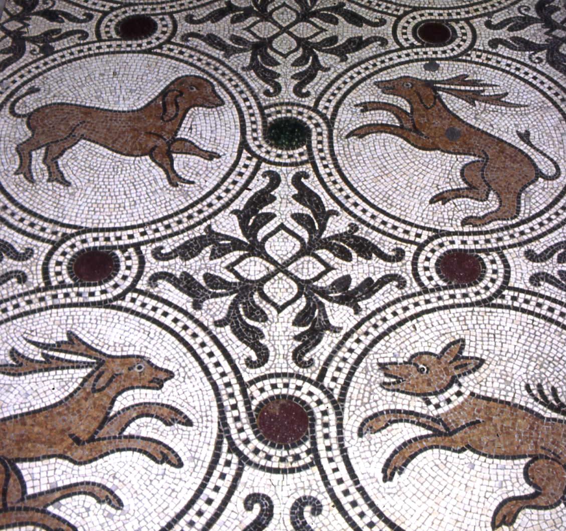 Floor animal mosaic B