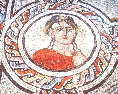 Volubilis mosaic