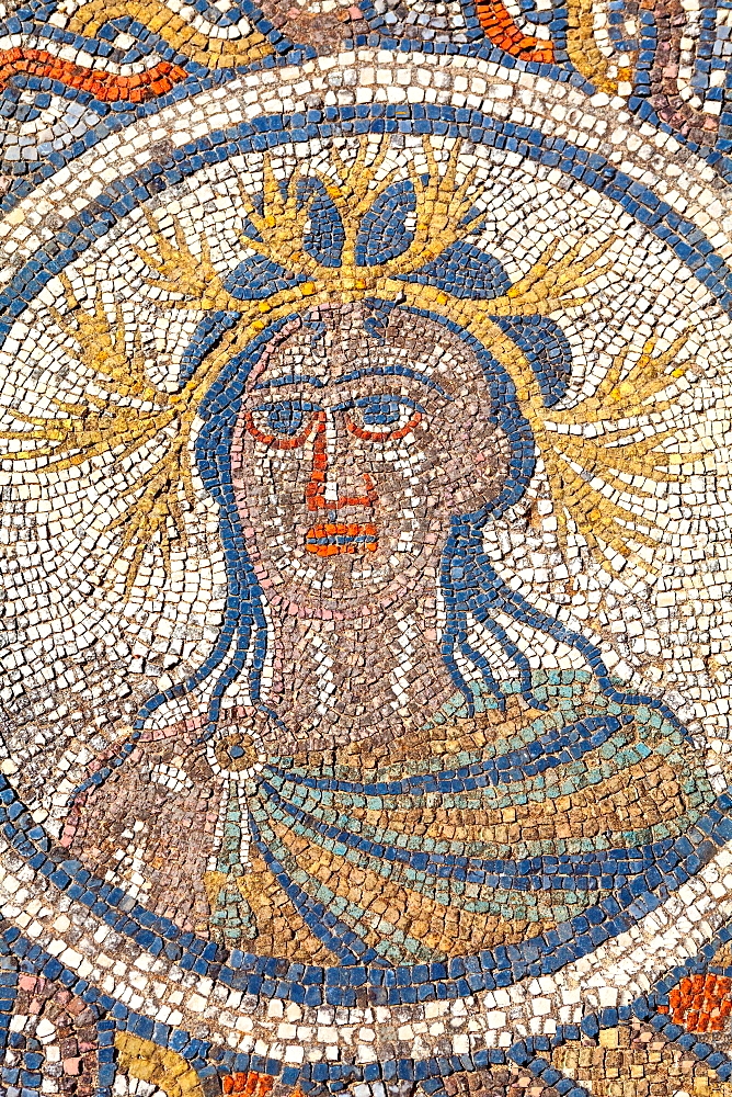 Volubilis mosaic
