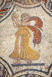 Volubilis mosaic