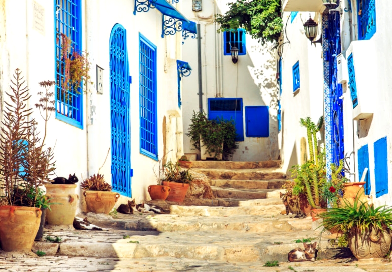 House with blue doors and windows